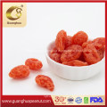 Hot Selling Preserved Juicy Peach in Bulk